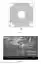 Fig. 20 - MICROFLUIDIC DEVICES FOR THE RAPID DETECTION OF ANALYTES
