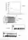 Fig. 05 - Device for manipulation of packets in micro-containers, in particular in microchannels