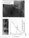 Fig. 06 - Swivel mount for centrifugal microfluidic chip