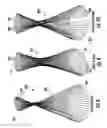 Fig. 10 - Spray head with hyperboloid spray pattern
