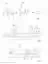 Fig. 02 - Sheet metal blank