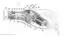Fig. 01 - Transmission device