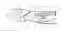 Fig. 01 - Locking pliers