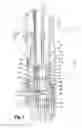 Fig. 02 - Combustion chamber for a gas-powered fixing tool