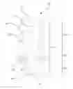 Fig. 01 - Insert for an Injection-Moulding Nozzle and Injection-Moulding Nozzle Having Such an Insert