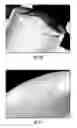 Fig. 06 - Method for three-dimensional fabrication with gas injection through carrier