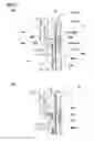 Fig. 06 - PUNCTURE REPAIR KIT