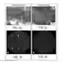 Fig. 04 - Compression Molded Composites from Unshredded Carpets