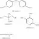 Fig. 63 - Photosensitive resin composition, planographic printing plate precursor, method for producing planographic printing plate, and polymer compound