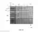 Fig. 09 - Multi printhead refractive gradient inkjet printing
