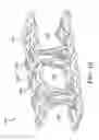 Fig. 09 - PNEUMATIC TIRE WITH A SEALANT COMPONENT