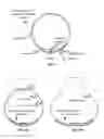 Fig. 05 - Self-inflating pumping mechanism