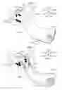 Fig. 07 - Vehicle body rear structure
