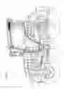 Fig. 02 - Working vehicle