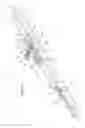 Fig. 02 - Quick adjust power adjuster with split nut