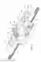 Fig. 08 - Quick adjust power adjuster with split nut