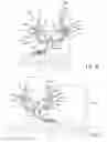 Fig. 07 - Continuous snap in track system