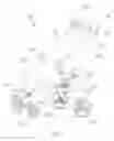 Fig. 02 - BABY STROLLERS