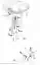 Fig. 04 - HEATING AND COOLING DEVICE FOR HANDLES, ESPECIALLY OF STEERING MECHANISM