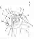 Fig. 15 - Fabricated steering knuckles