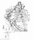 Fig. 03 - Front vehicle-body structure of vehicle