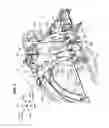 Fig. 05 - Front vehicle-body structure of vehicle