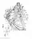 Fig. 03 - Front vehicle-body structure of vehicle