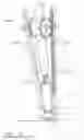 Fig. 37 - MOORING DEVICE