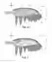 Fig. 10 - Propeller blade indentations for improved aerodynamic performance and sound control