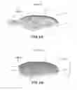 Fig. 09 - Propeller blade leading edge serrations for improved sound control