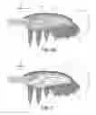 Fig. 10 - Propeller blade leading edge serrations for improved sound control