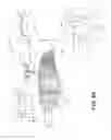 Fig. 11 - Propeller blade leading edge serrations for improved sound control