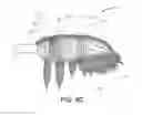 Fig. 13 - Propeller blade leading edge serrations for improved sound control