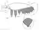 Fig. 01 - Propeller blade trailing edge fringes for improved sound control