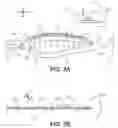 Fig. 03 - Propeller blade trailing edge fringes for improved sound control