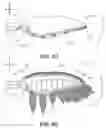 Fig. 08 - Propeller blade trailing edge fringes for improved sound control