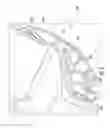 Fig. 05 - Reclining passenger seat