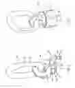 Fig. 04 - Ring element having a divided base for a lashing or attachment means