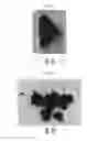 Fig. 03 - Composition and method for depolymerization of cured epoxy resin materials using transition metal salts