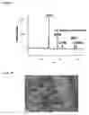 Fig. 04 - COMPOSITE NANOMATERIALS AND MICROMATERIALS, FILMS OF SAME, AND METHODS OF MAKING AND USES OF SAME