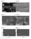 Fig. 05 - COMPOSITE NANOMATERIALS AND MICROMATERIALS, FILMS OF SAME, AND METHODS OF MAKING AND USES OF SAME