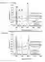 Fig. 08 - COMPOSITE NANOMATERIALS AND MICROMATERIALS, FILMS OF SAME, AND METHODS OF MAKING AND USES OF SAME