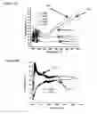 Fig. 12 - COMPOSITE NANOMATERIALS AND MICROMATERIALS, FILMS OF SAME, AND METHODS OF MAKING AND USES OF SAME