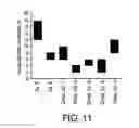 Fig. 12 - Glass article