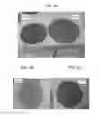 Fig. 06 - Dimensionally stable geopolymer composition and method