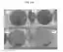 Fig. 23 - Dimensionally stable geopolymer composition and method