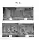 Fig. 53 - Dimensionally stable geopolymer composition and method