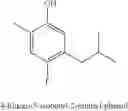 Fig. 46 - 2,5-DIALKYL-4-H/HALO/ETHER-PHENOL COMPOUNDS