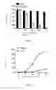 Fig. 03 - Compound isolated from var. and preparation method and applications thereof