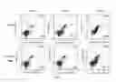 Fig. 04 - Compound isolated from var. and preparation method and applications thereof